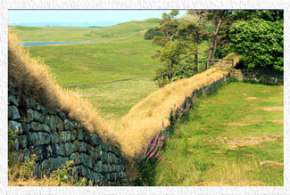 Hadrian's Wall - Northumberland