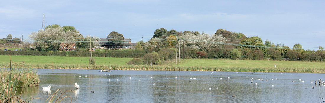 Rising Sun - Swallow Pond - North Tyneside