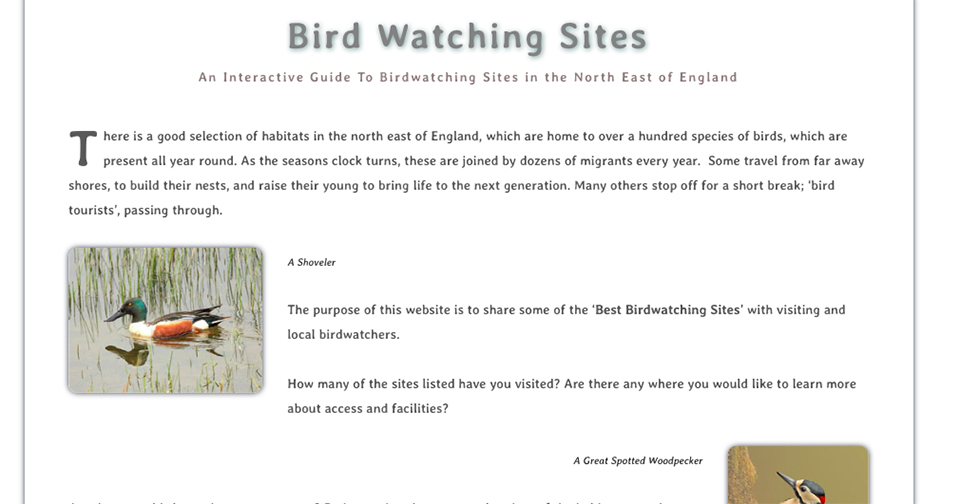 Bird Watching Sites