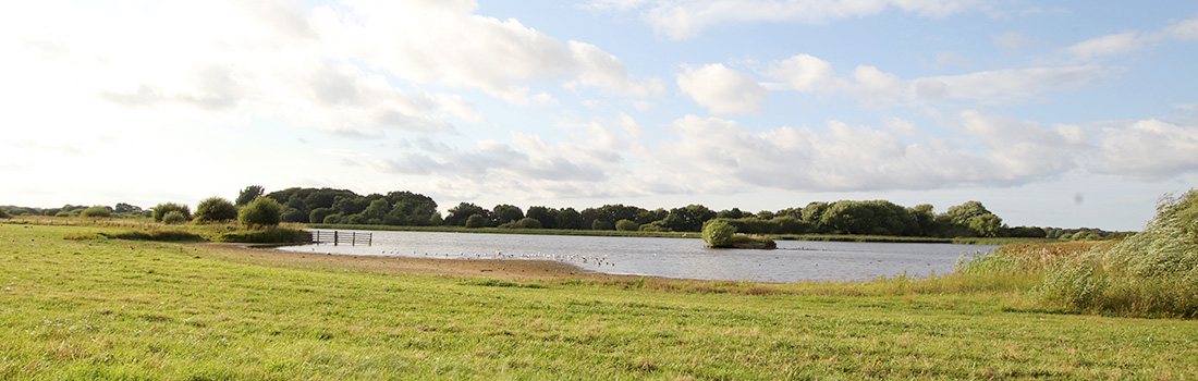 Holywell Pond NR - North-Tyneside